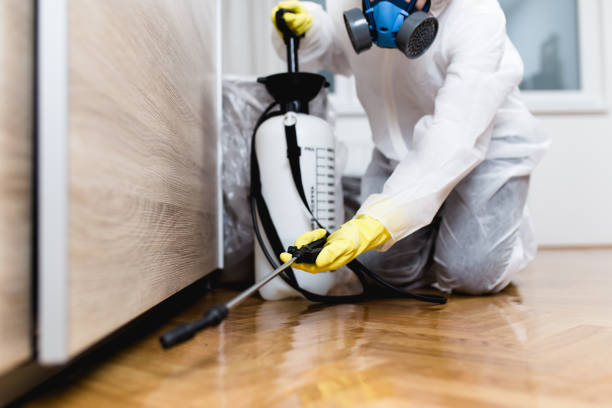 Best Bed Bug Extermination  in Mountain Park, GA