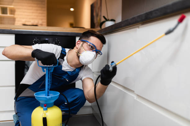 Best Best Pest Control Companies  in Mountain Park, GA
