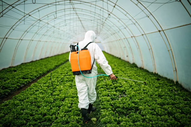 Professional Pest Control in Mountain Park, GA