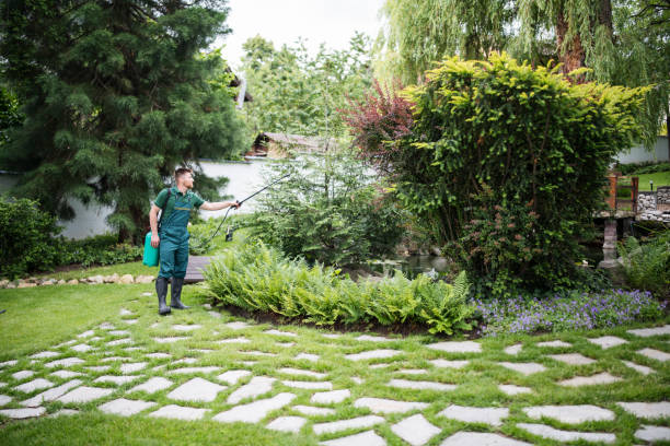 Best Mosquito Control Services  in Mountain Park, GA
