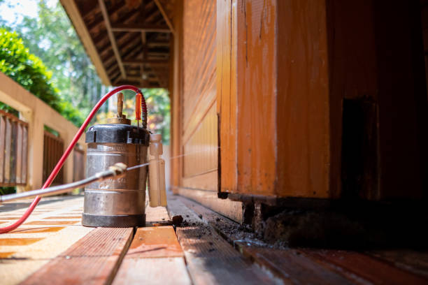 Best Affordable Pest Control Services  in Mountain Park, GA