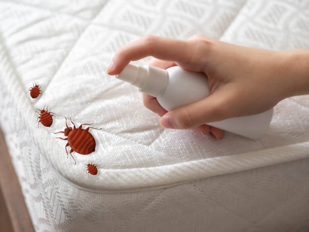 Best Exterminator Services  in Mountain Park, GA