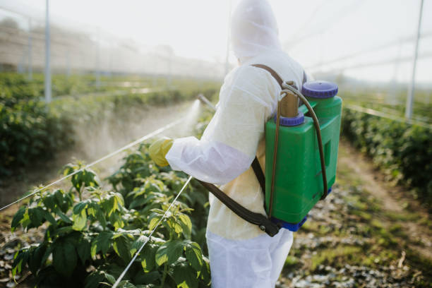 Best Best Pest Control Companies  in Mountain Park, GA